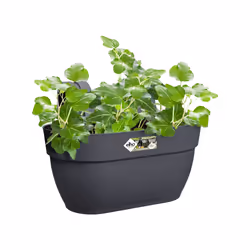 elho 8711904492960 pot à fleurs Extérieure Plastique Noir - Vue supplémentaire 4