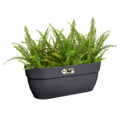 elho 8711904492991 pot à fleurs Extérieure Plastique Noir - Vue supplémentaire 4