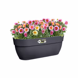 elho 8711904492991 pot à fleurs Extérieure Plastique Noir - Vue supplémentaire 5