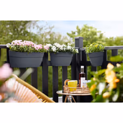 elho 8711904492991 pot à fleurs Extérieure Plastique Noir - Vue supplémentaire 9