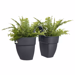 elho 8711904493028 pot à fleurs Extérieure Plastique Noir - Vue supplémentaire 4