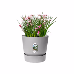 elho 8711904493059 jardinière Gris Plastique