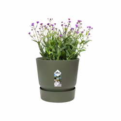 elho 8711904493240 jardinière Vert Plastique