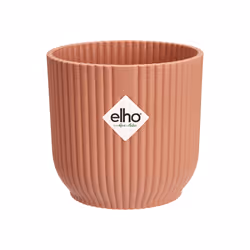 elho 8711904493981 jardinière Rose Plastique