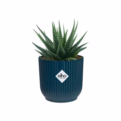 elho 8711904494049 jardinière Bleu Plastique