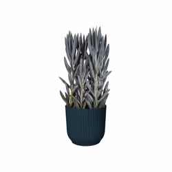 elho 8711904494285 jardinière Bleu Plastique