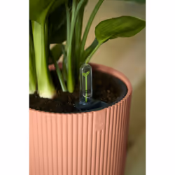 elho 8711904494346 jardinière Rose Plastique - Vue supplémentaire 10