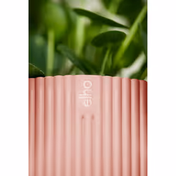 elho 8711904494346 jardinière Rose Plastique - Vue supplémentaire 9