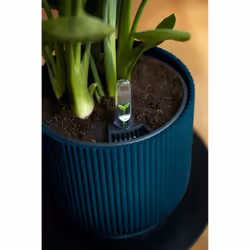 elho 8711904494407 jardinière Bleu Plastique - Vue supplémentaire 11