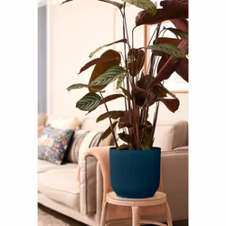elho 8711904494407 jardinière Bleu Plastique - Vue supplémentaire 8