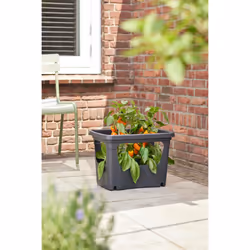 elho 8711904494490 pot à fleurs Extérieure Plastique Noir - Vue supplémentaire 14