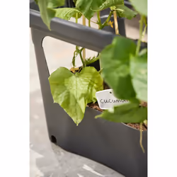 elho 8711904494490 pot à fleurs Extérieure Plastique Noir - Vue supplémentaire 15