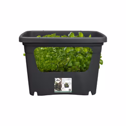 elho 8711904494490 pot à fleurs Extérieure Plastique Noir - Vue supplémentaire 6