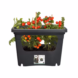 elho 8711904494490 pot à fleurs Extérieure Plastique Noir - Vue supplémentaire 7