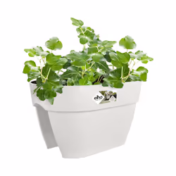 elho 8711904495077 pot à fleurs Extérieure Plastique Blanc - Vue supplémentaire 4