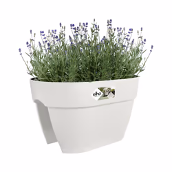 elho 8711904495077 pot à fleurs Extérieure Plastique Blanc - Vue supplémentaire 5