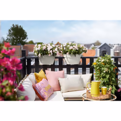 elho 8711904495077 pot à fleurs Extérieure Plastique Blanc - Vue supplémentaire 8