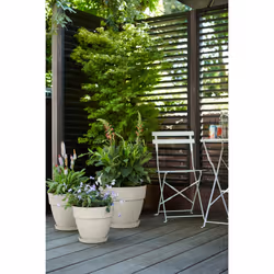 elho 8711904495138 jardinière Blanc Plastique - Vue supplémentaire 7