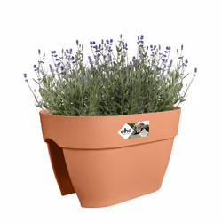 elho 8711904495190 pot à fleurs Extérieure Plastique Marron