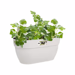 elho 8711904495312 pot à fleurs Extérieure Plastique Blanc - Vue supplémentaire 4