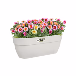 elho 8711904495497 pot à fleurs Extérieure Plastique Blanc - Vue supplémentaire 5