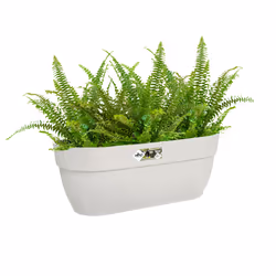 elho 8711904495497 pot à fleurs Extérieure Plastique Blanc - Vue supplémentaire 6