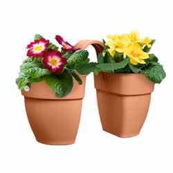 elho 8711904495640 pot à fleurs Extérieure Plastique Marron