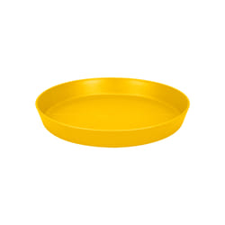 elho 8711904495824 accessoire de plantation Soucoupe