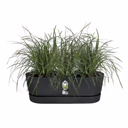 elho 8711904496395 pot à fleurs Plastique Noir