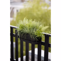 elho 8711904496395 pot à fleurs Plastique Noir - Vue supplémentaire 6