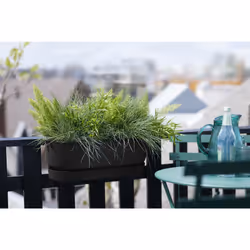 elho 8711904496395 pot à fleurs Plastique Noir - Vue supplémentaire 7
