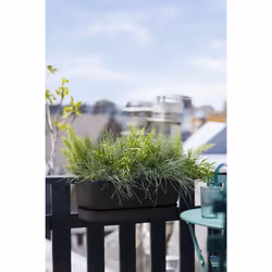 elho 8711904496395 pot à fleurs Plastique Noir - Vue supplémentaire 8