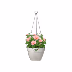 elho 8711904496678 jardinière Blanc Plastique