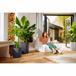 elho 8711904497217 jardinière Gris Plastique - Vue supplémentaire 11