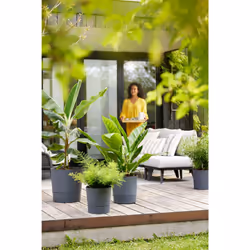 elho 8711904497316 jardinière Gris Plastique - Vue supplémentaire 11
