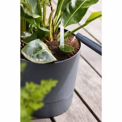 elho 8711904497316 jardinière Gris Plastique - Vue supplémentaire 13