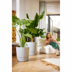 elho 8711904497347 jardinière Gris Plastique - Vue supplémentaire 10