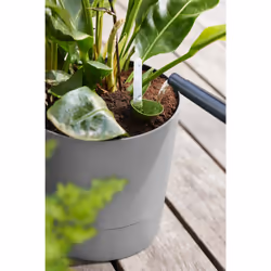 elho 8711904497347 jardinière Gris Plastique - Vue supplémentaire 11