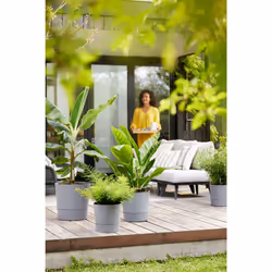 elho 8711904497347 jardinière Gris Plastique - Vue supplémentaire 12