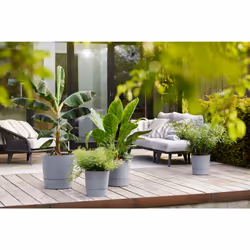 elho 8711904497347 jardinière Gris Plastique - Vue supplémentaire 13