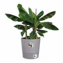 elho 8711904497347 jardinière Gris Plastique - Vue supplémentaire 4