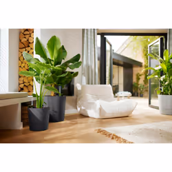 elho 8711904497378 jardinière Gris Plastique - Vue supplémentaire 10