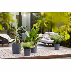 elho 8711904497378 jardinière Gris Plastique - Vue supplémentaire 12