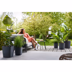 elho 8711904497378 jardinière Gris Plastique - Vue supplémentaire 14