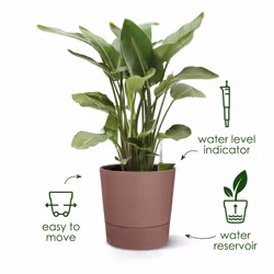 elho 8711904497378 jardinière Gris Plastique - Vue supplémentaire 15
