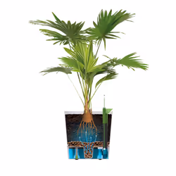 elho 8711904497422 jardinière Gris Plastique - Vue supplémentaire 10