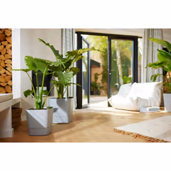 elho 8711904497422 jardinière Gris Plastique - Vue supplémentaire 11
