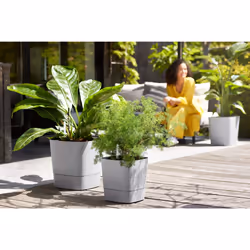 elho 8711904497422 jardinière Gris Plastique - Vue supplémentaire 13
