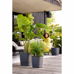 elho 8711904497453 jardinière Gris Plastique - Vue supplémentaire 12