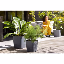 elho 8711904497453 jardinière Gris Plastique - Vue supplémentaire 13